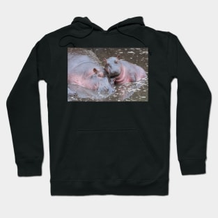 Baby Hippo with mother Hoodie